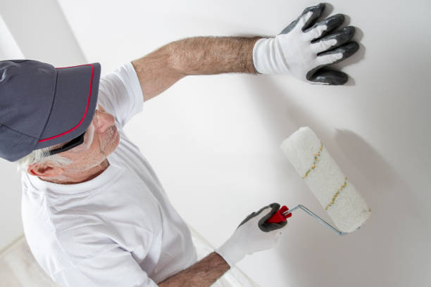 Best Water Damage & Mold Remediation  in Grand Rapids, MN