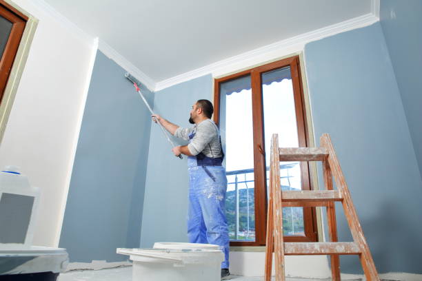 Best Mold Prevention Services  in Grand Rapids, MN