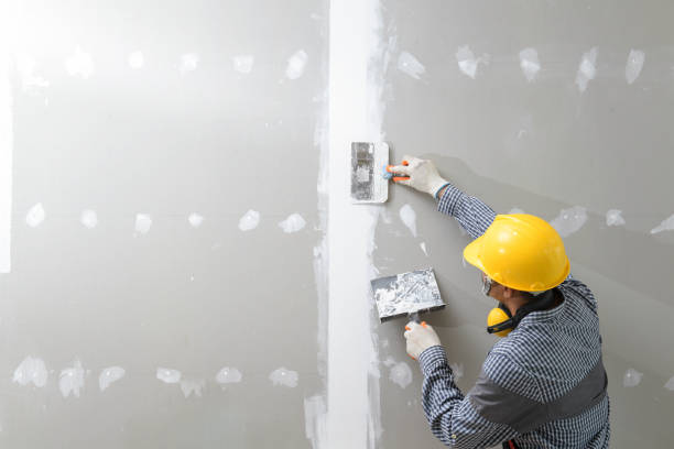 Best Mold Documentation for Insurance Claims  in Grand Rapids, MN