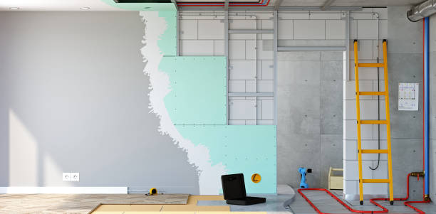 Best Real Estate Mold Inspection  in Grand Rapids, MN