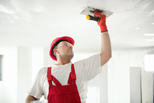 Best Residential Mold Inspection & Testing  in Grand Rapids, MN