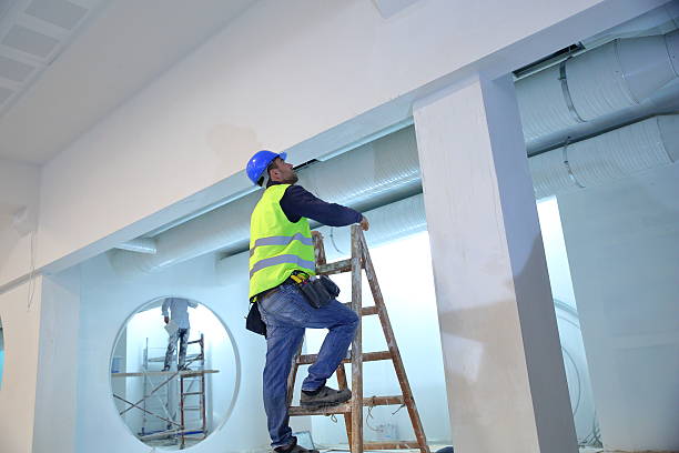 Best Mold Odor Removal Services  in Grand Rapids, MN