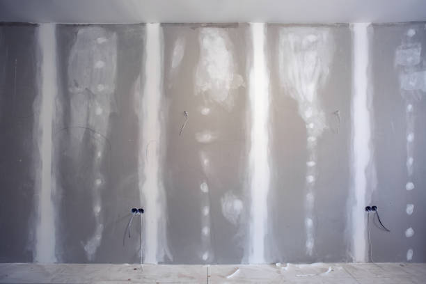 Best Mold Remediation for Healthcare Facilities  in Grand Rapids, MN