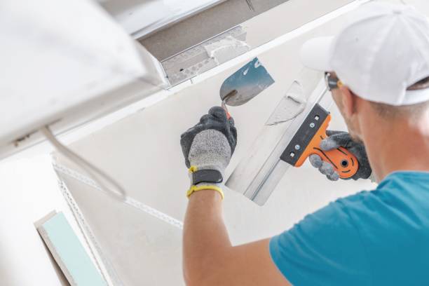 Best Air Quality Testing for Mold Spores  in Grand Rapids, MN